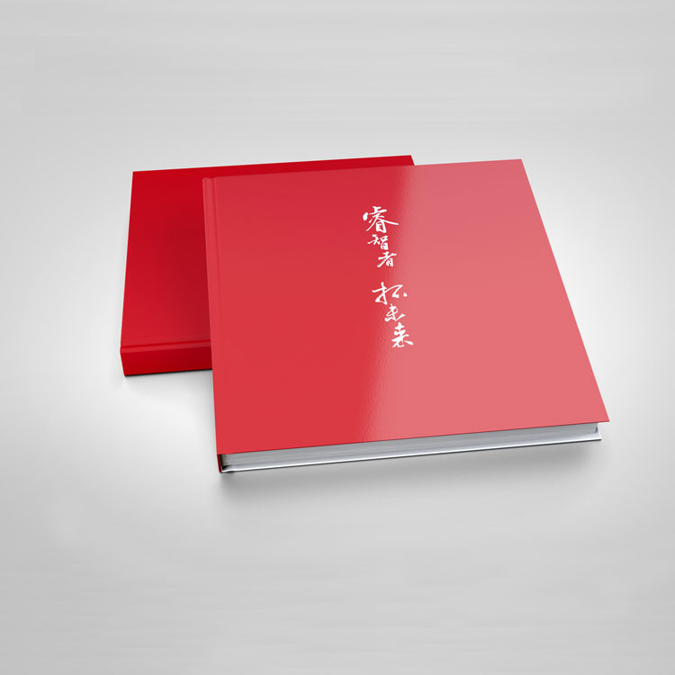 睿智者畫(huà)冊(cè)